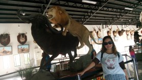 C360_2015-08-30-15-46-05-837