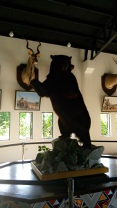 C360_2015-08-30-15-47-32-772