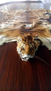 C360_2015-08-30-15-50-08-098