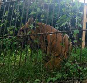 IMG_20150830_193612_307