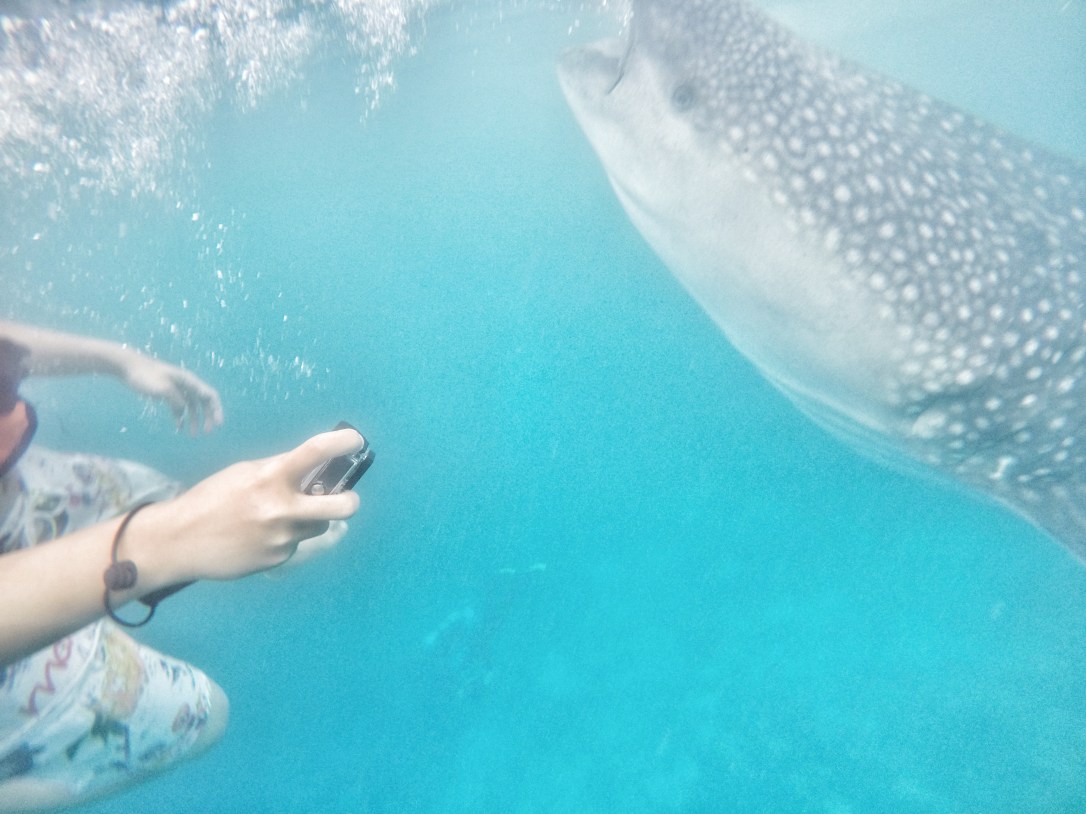 DCIM100GOPROGOPR0668.